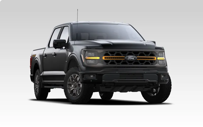 Nueva F150-Tremor - Negro Ebony