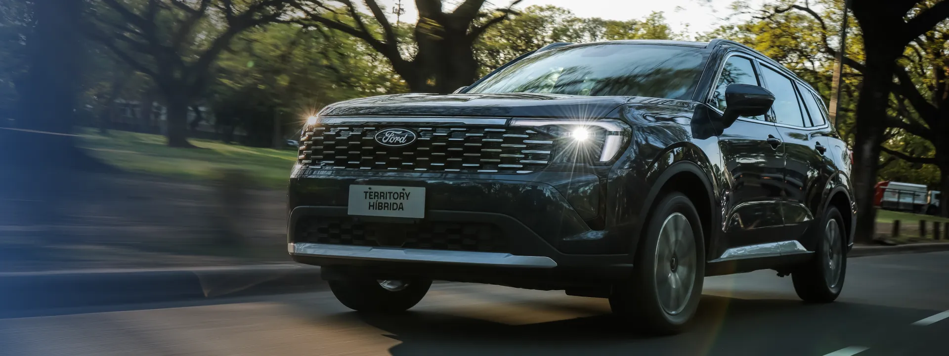 Nueva Territory Híbrida